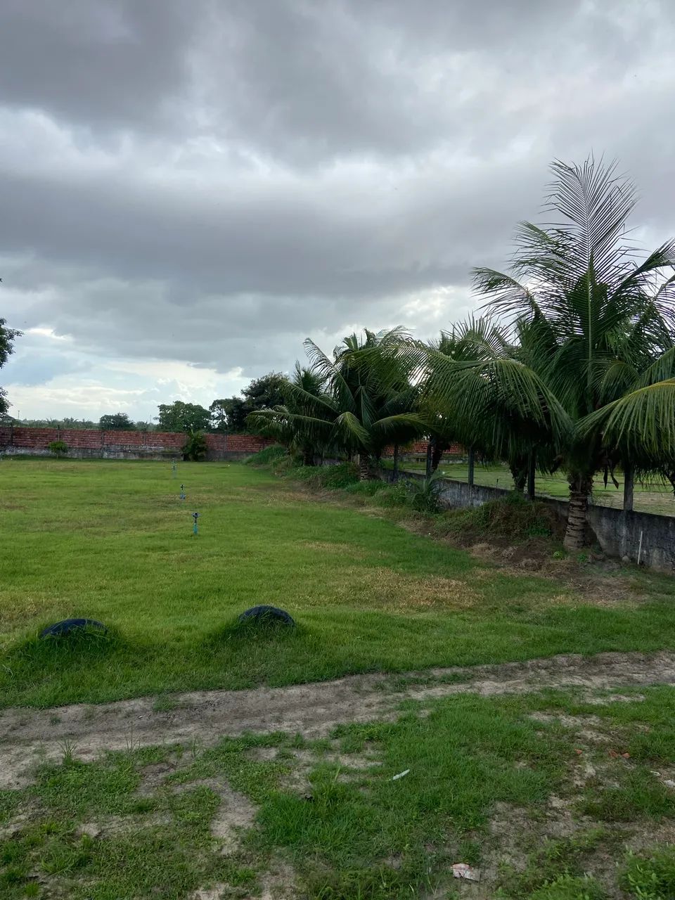 TERRENO 22 X 55 M - Foto 4