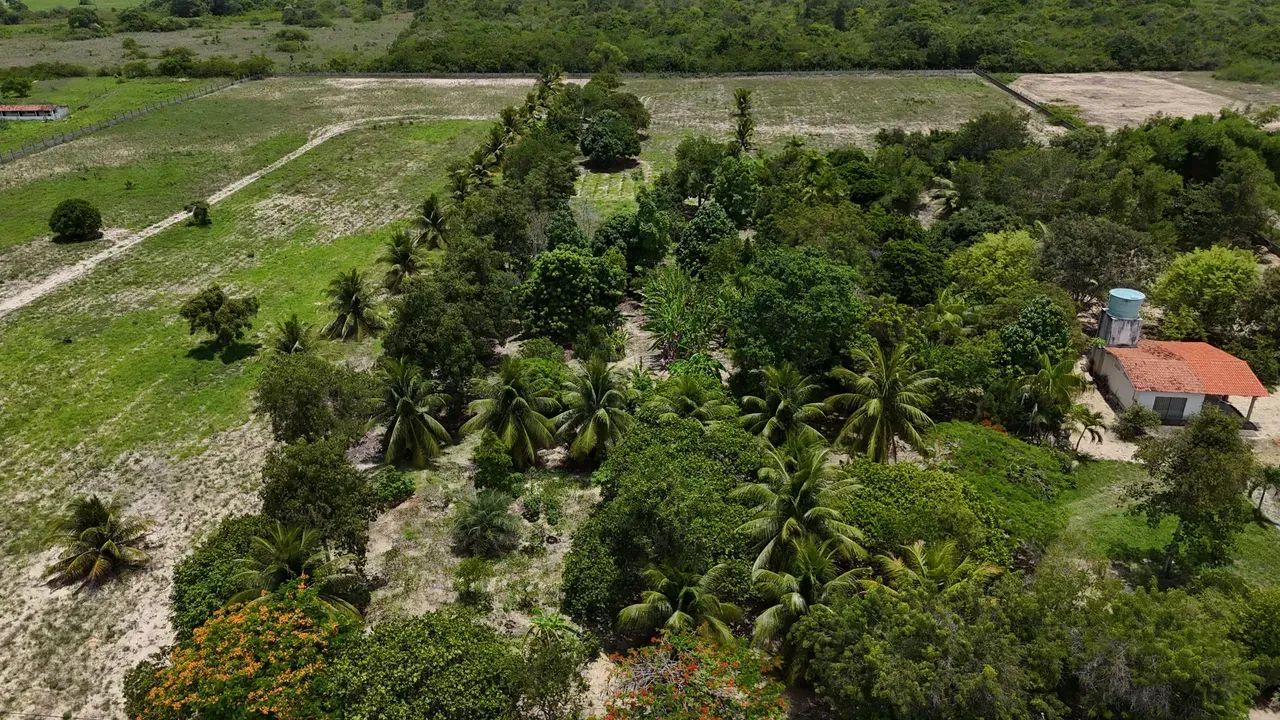 granja com 5 hectares na melhor região de Monte Alegre - Foto 3