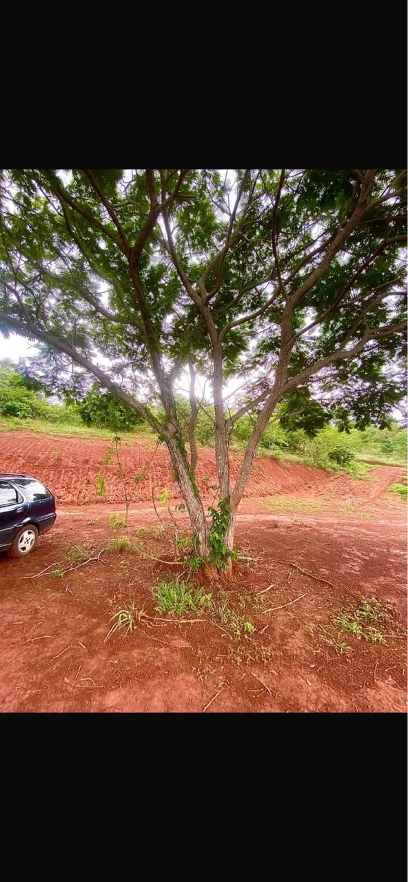 Terreno Taquaraçu de Minas MG - Foto 5