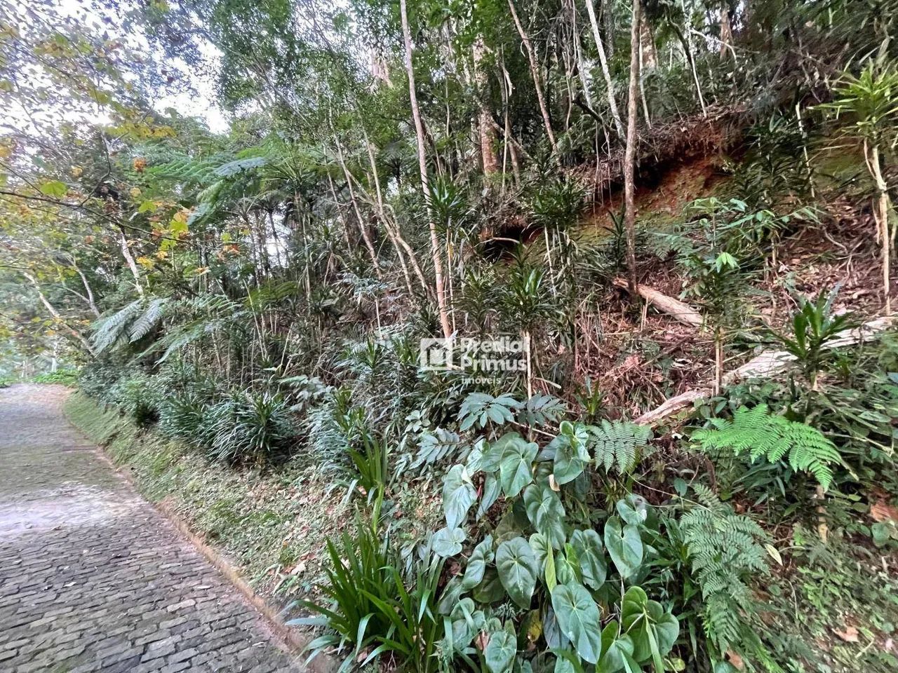 Terreno com RGI , 2345 m² à venda por R$ 350.000 - Mury - Nova Friburgo/RJ