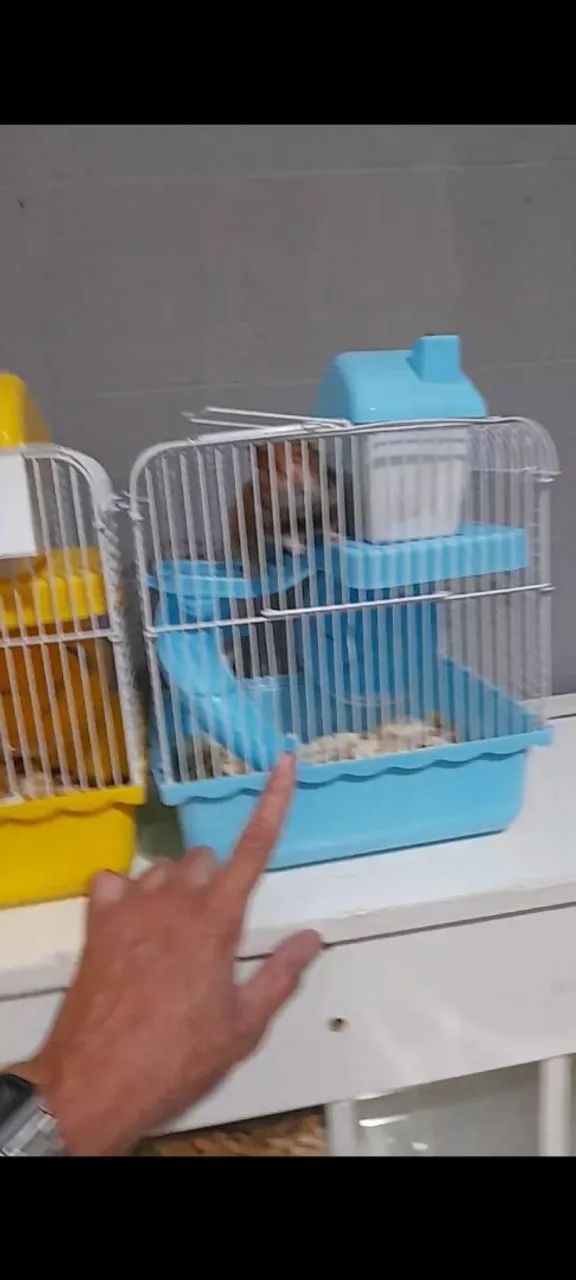 Gaiola completa para hamister sírio  - Foto 4