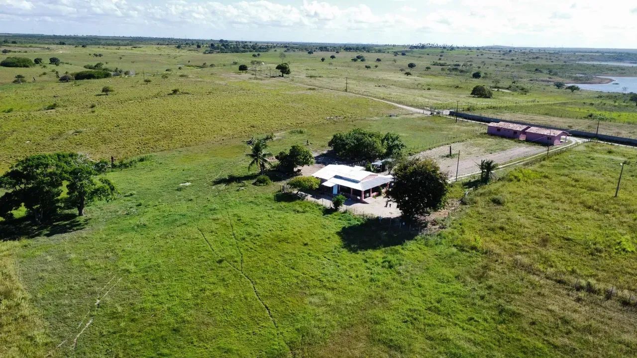 Fazenda com 150 hectares em Macaiba - Foto 3