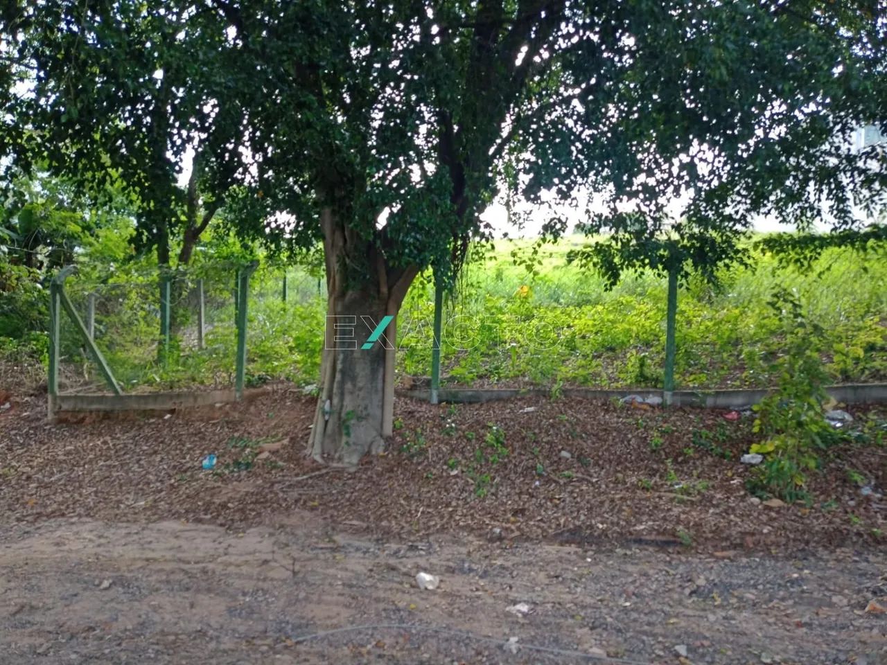 terreno - Vale Verde - Valinhos - Foto 5