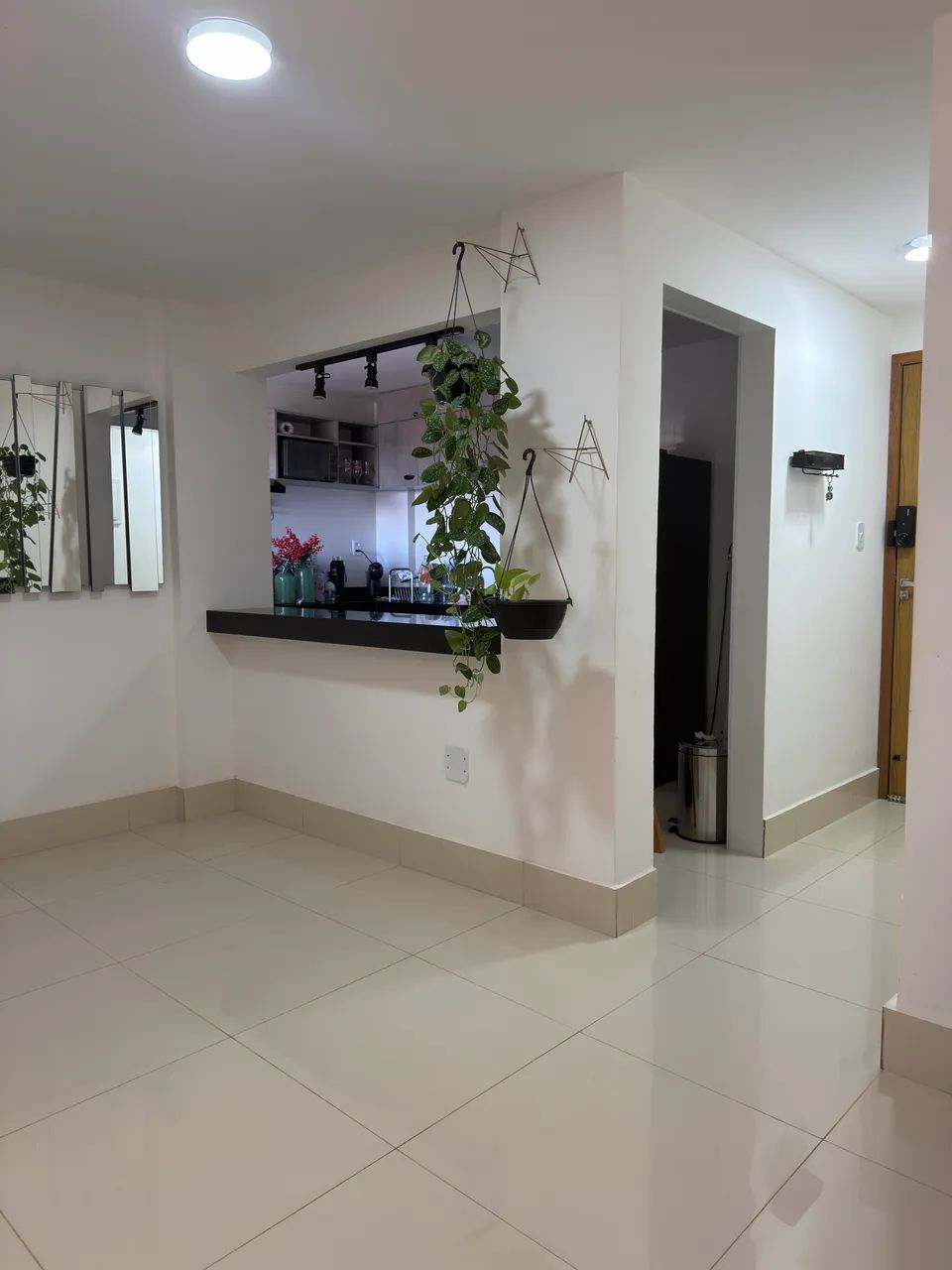 Apt Jardim Guanabara 