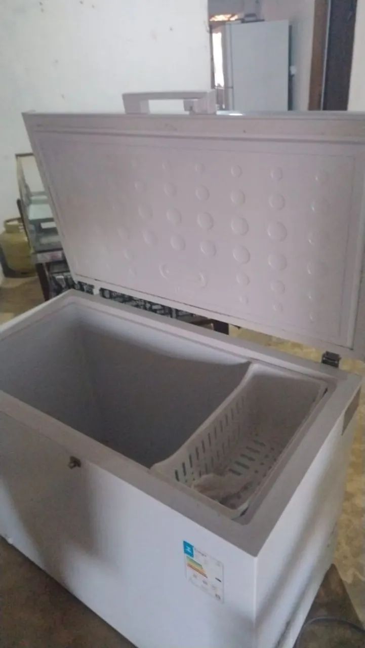 Freezer EOS 319L