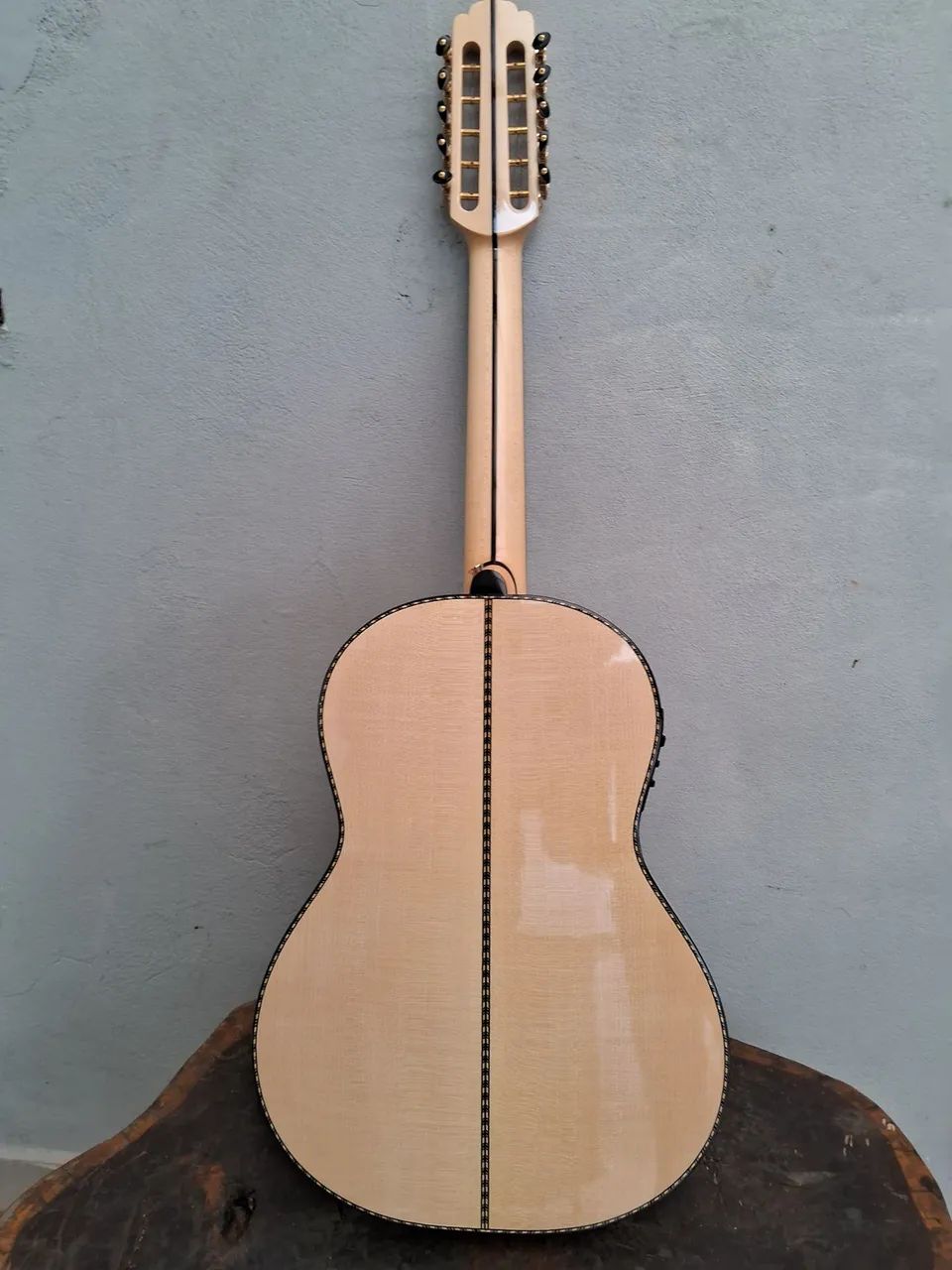 Viola