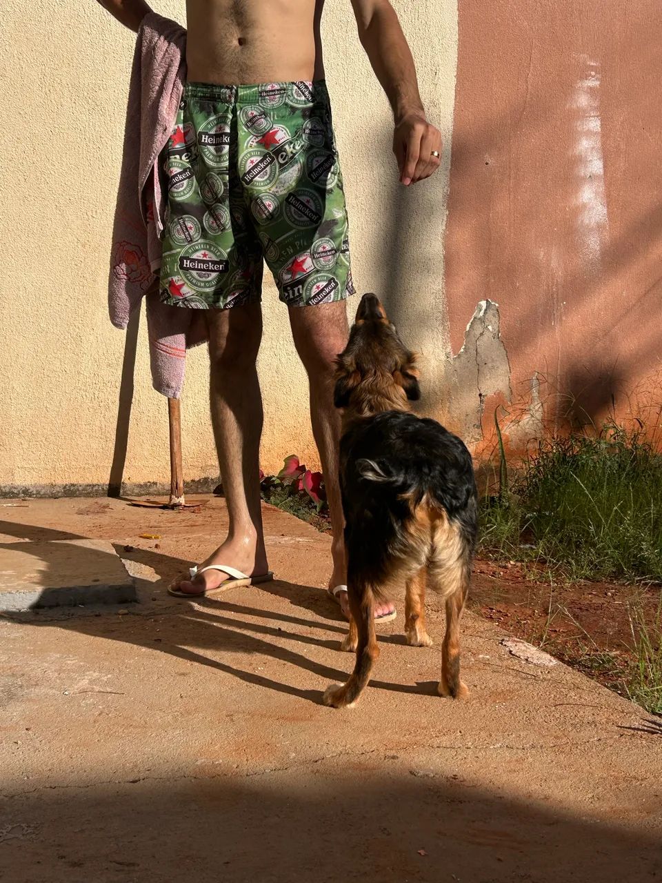 Cachorro para doação  - Foto 5