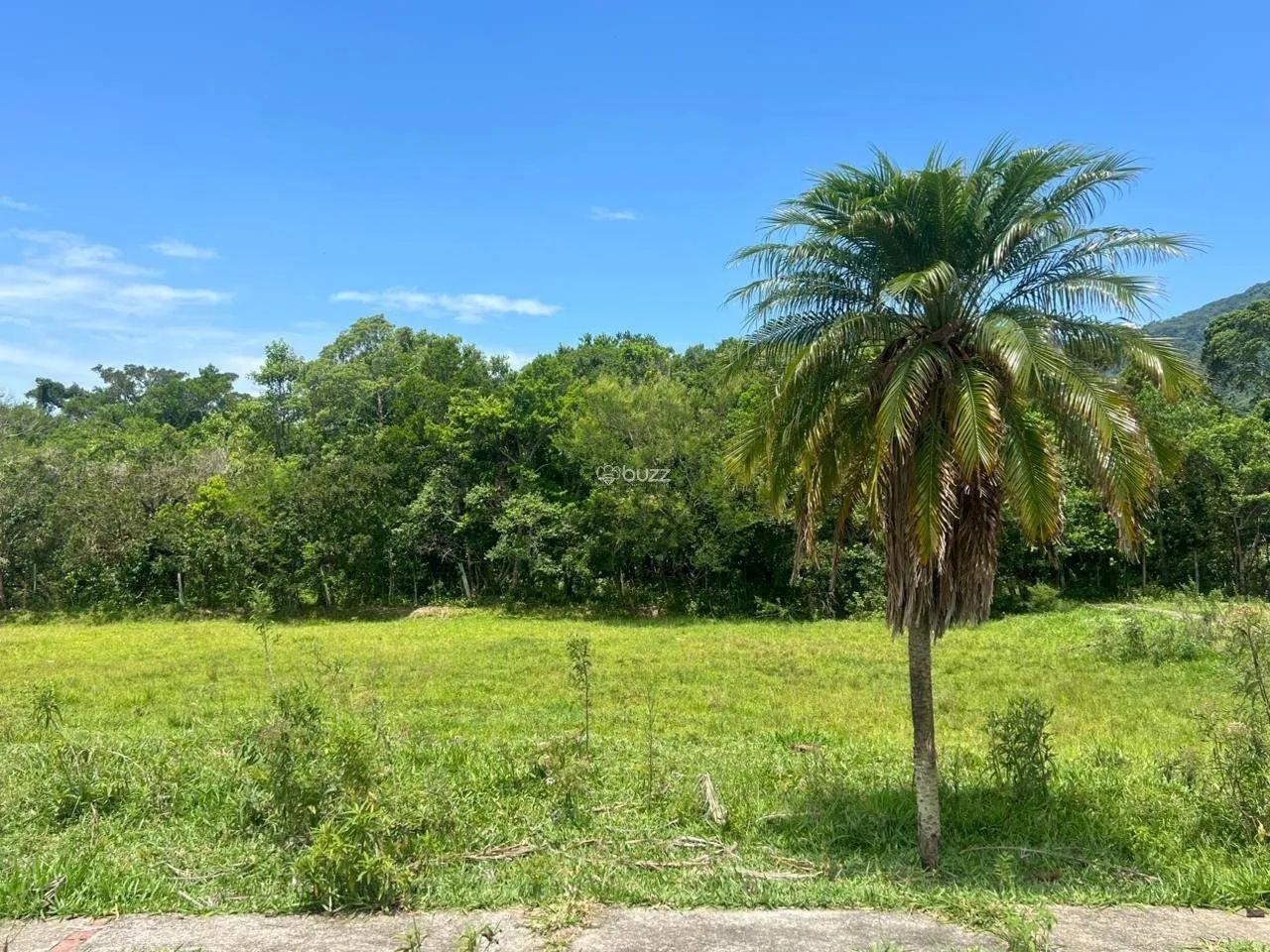 Terreno 452m² em Ribeirão da Ilha, Florianópolis - Foto 4