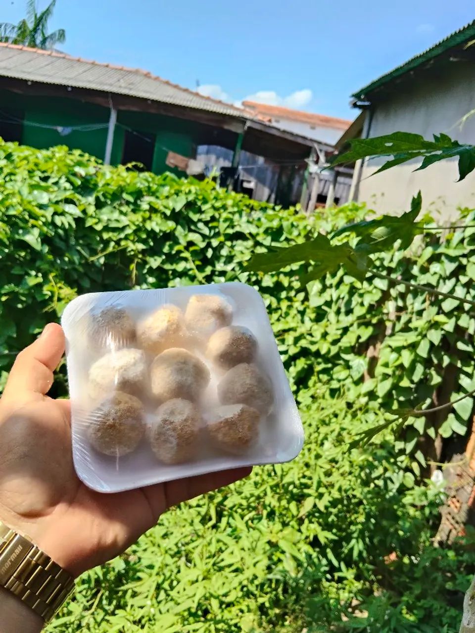 Bolinhos de Piracuí Congelado 