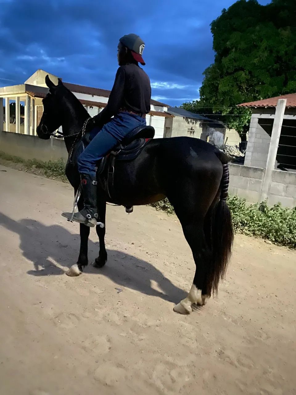 Vende-se égua mansa batida macio - Foto 4