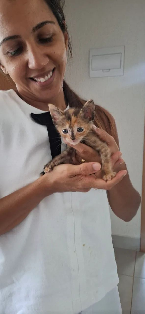 Gata 