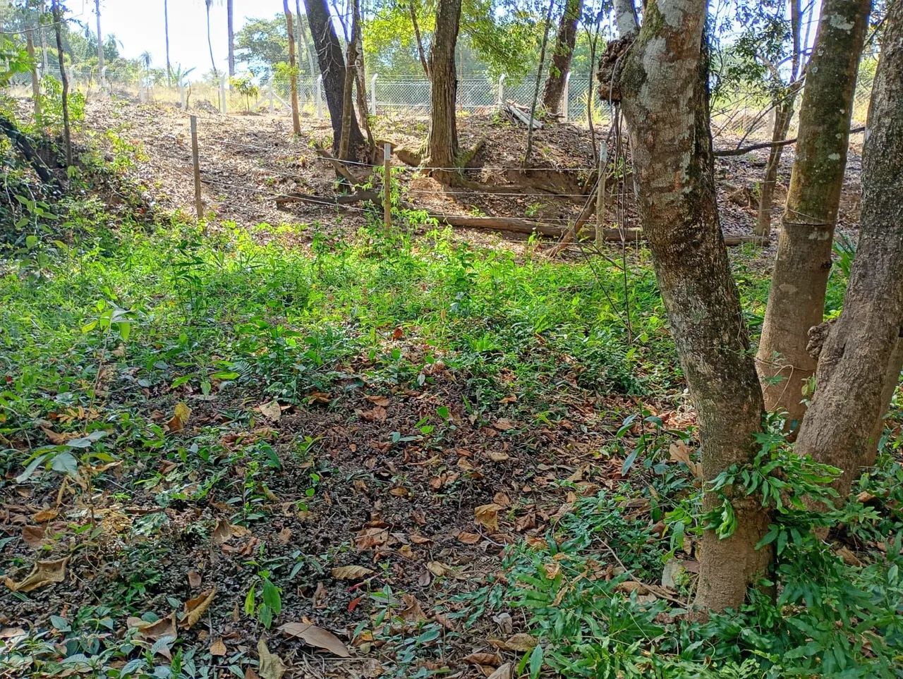 Terreno de 3000 mts em serra azul  - Foto 3