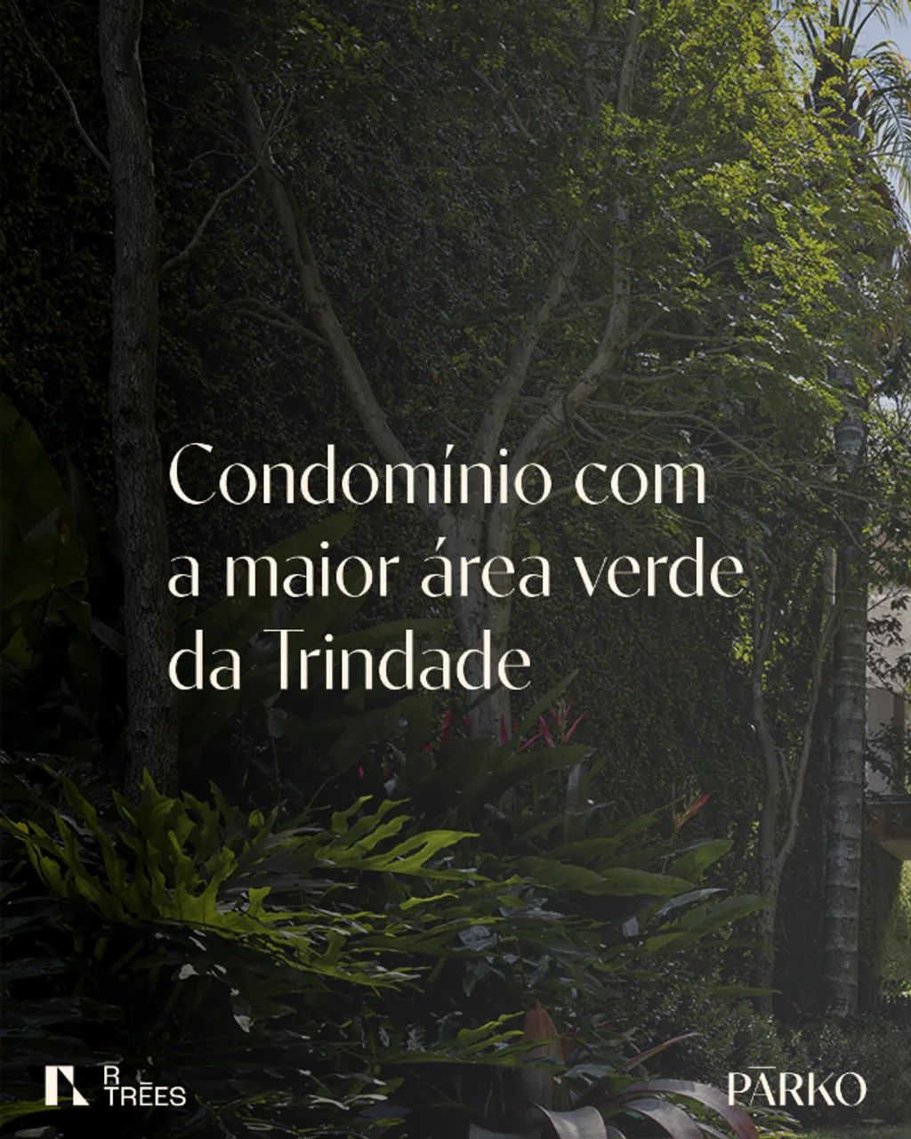 Foto - Florianópolis - Trindade