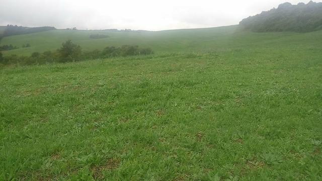 Excelente fazenda terra boa - Foto 17