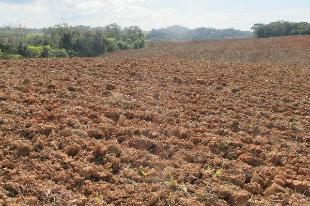 Área de planta 6 alqueires com água - Foto 9