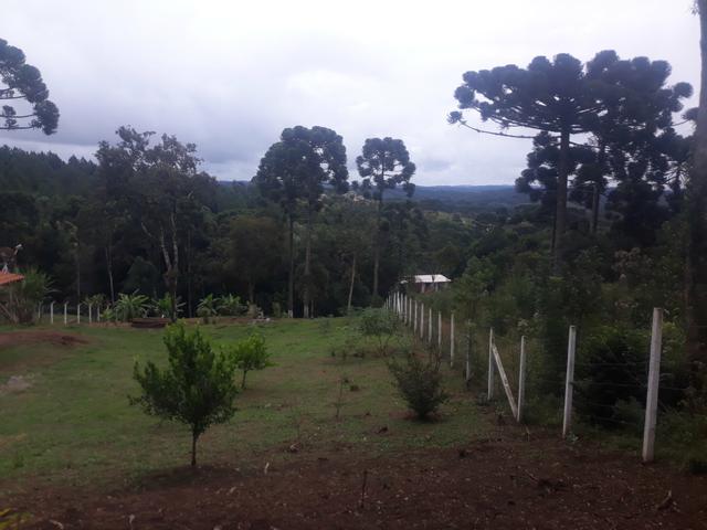 Chácara em Campina Grande do Sul - Aceito troca carro / caminhão/ terreno casa - Foto 7