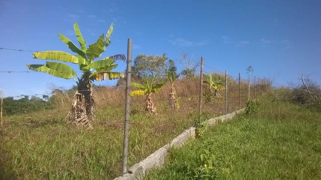 Vendo lindo sitio em engenheiro pedreira com 2700m2 - Foto 6