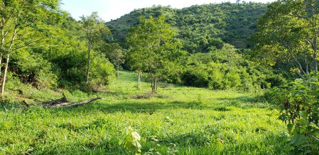 Fazenda 96,8 hectares - São Jose Safira, região de Governador Valadares/MG - Foto 14