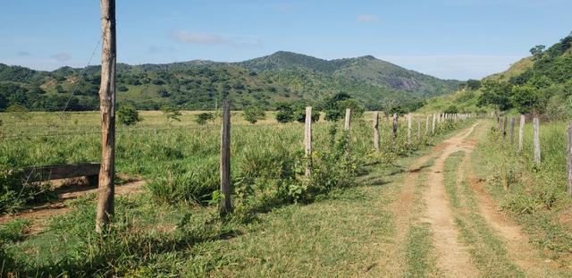 Fazenda 96,8 hectares - São Jose Safira, região de Governador Valadares/MG - Foto 10