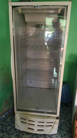 Freezer Vertical Fricon