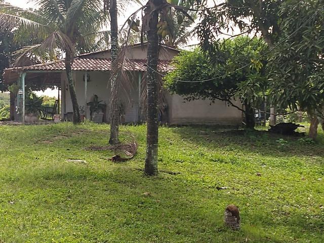 9 hectares nas Margens da BR 232 a 25 km de Recife PE - Foto 15