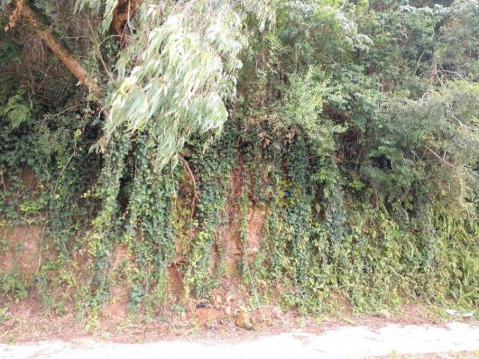 Inbox vende: terreno de 744 m², localizado no bairro são roque.