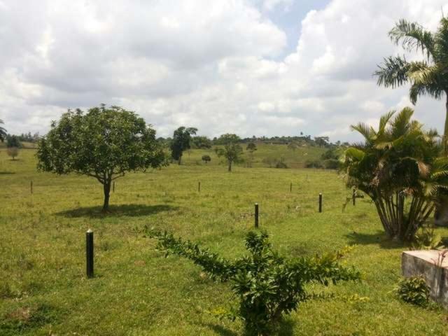 OPORTUNIDADE FAZENDA 116 TAREFAS - Foto 15