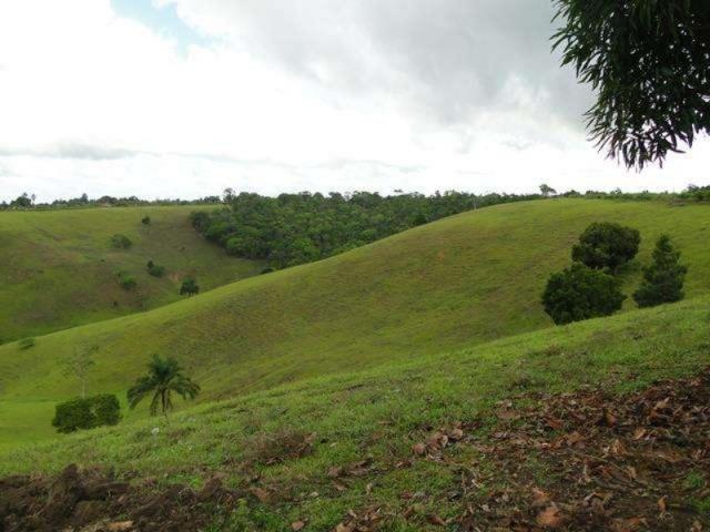 Maravilhosa oportunidade fazenda em maragogipe 120ta - Foto 6