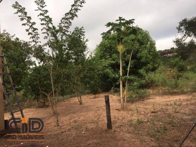 Chácara rural à venda. - Foto 18