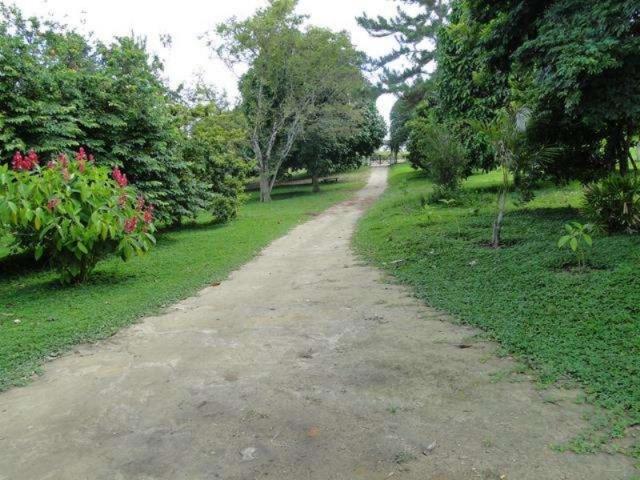 Maravilhosa oportunidade fazenda em maragogipe 120ta - Foto 14