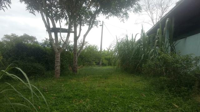 Sitio - Foto 5