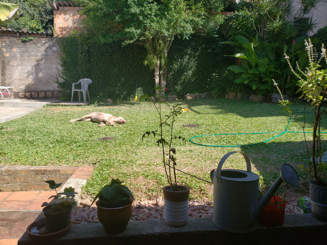 Casa no bairro Tristeza Zona Sul BAIXOU para vender esta semana - Foto 2