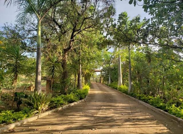 Sítio dos sonhos / Permuta Casa - Foto 8