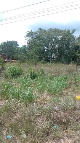 Vendo terreno na alça viária - Foto 2
