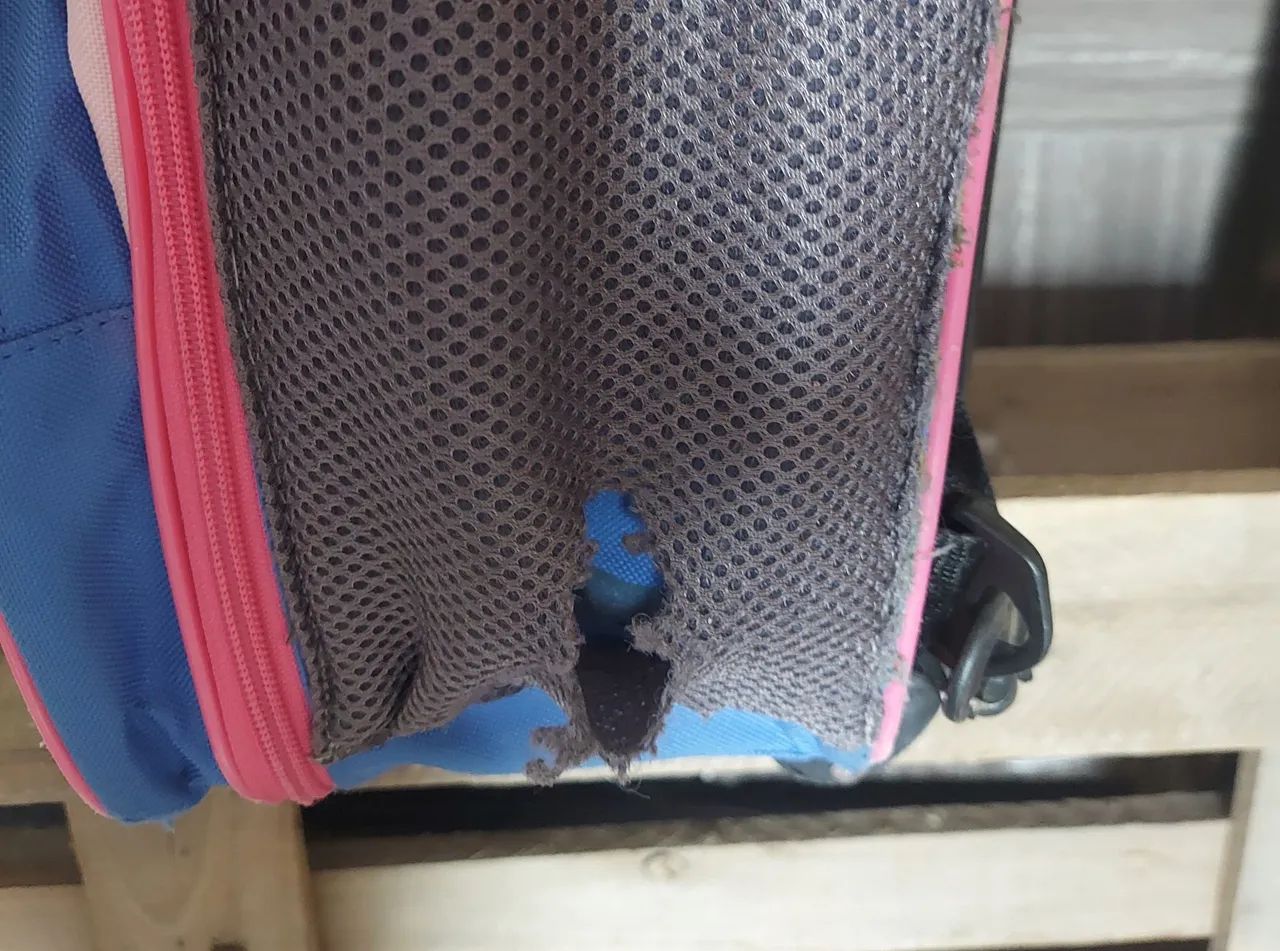 Mala de rodinhas Zoo Borboleta Skip Hop - Foto 2