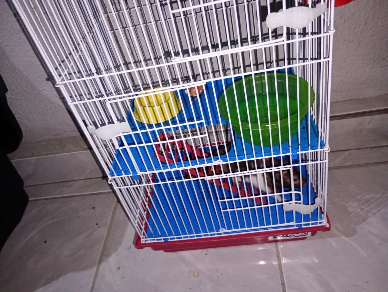 Gaiola para Roedores - 2 Andares - Foto 2