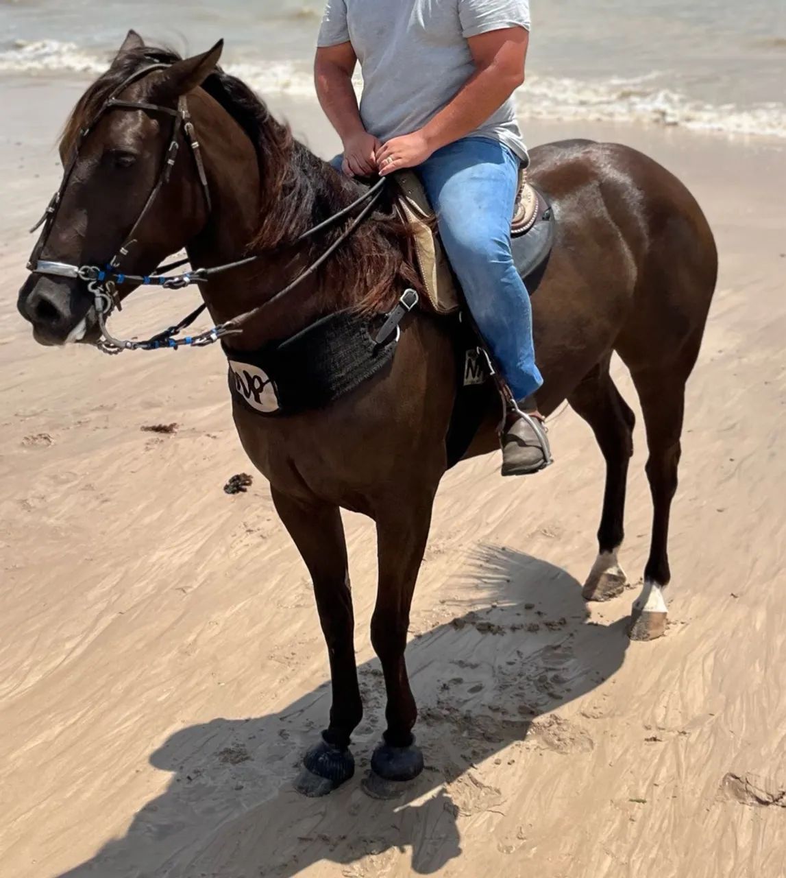(Cavalo) Egua de vaquejada pronta para qualquer corrida - Foto 4