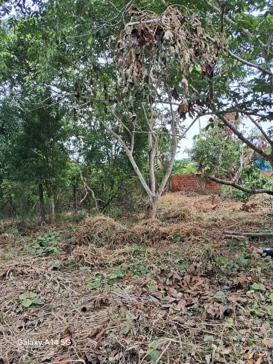 Vende-se terreno  - Foto 4