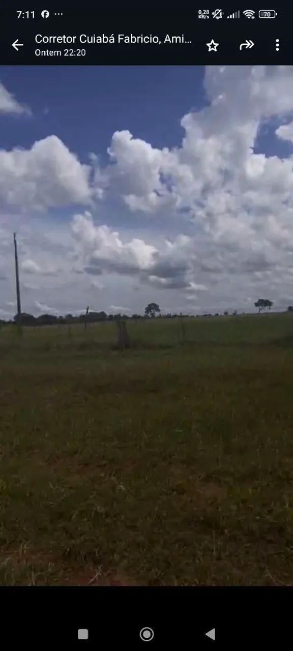 Fazenda arrendamento 4 mil hec em nova alvorada sim MS. - Foto 3
