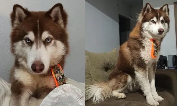 Procuro uma namorada linda  - Foto 2