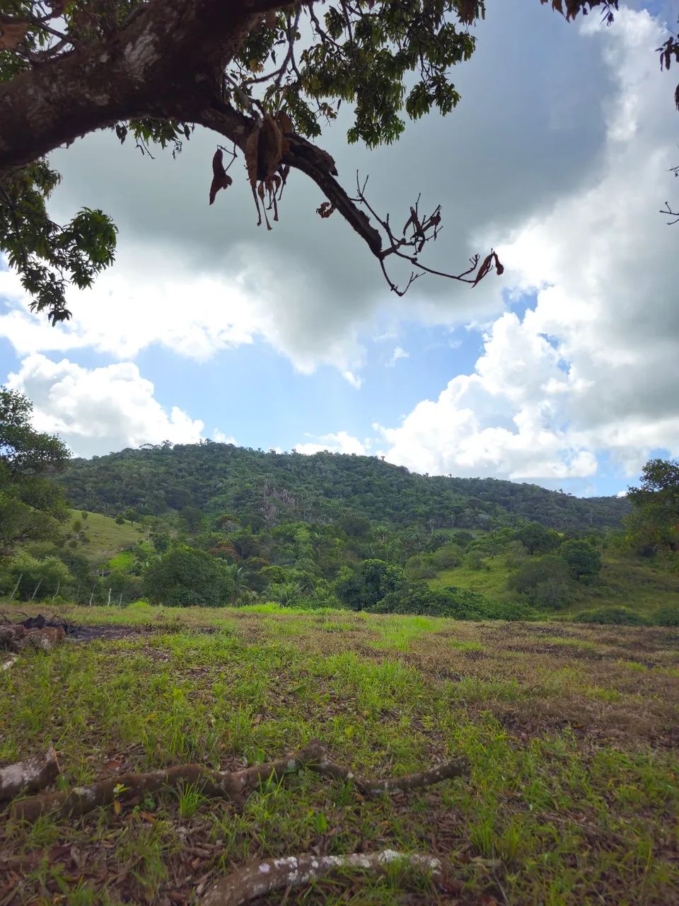 Sítio 20 hectares (Joaquim Gomes)