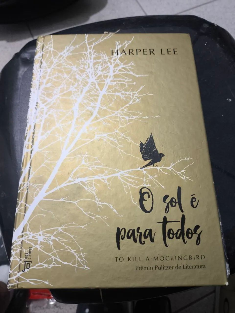 O Sol é Para Todos - Harper Lee