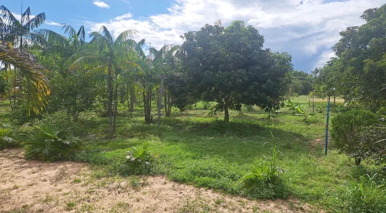 Chácara, 25km fundo para o Lago - Lei anúncio  - Foto 8