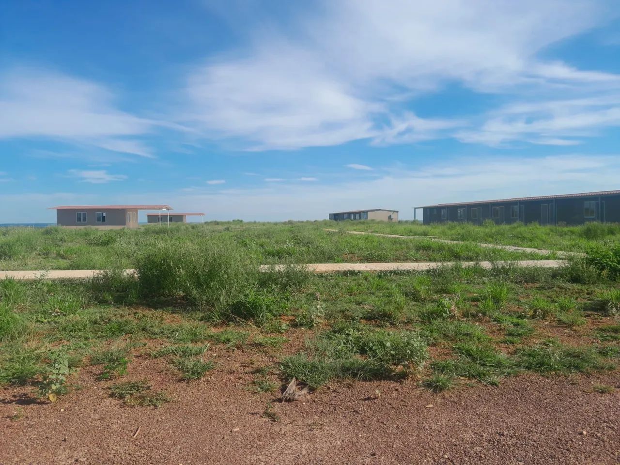 Soja milho ou pecuária  - Foto 3