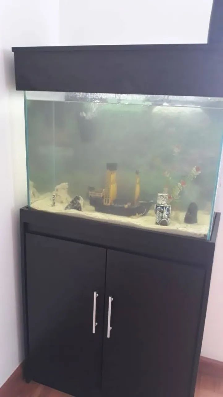 Aquário 100 litros com rack