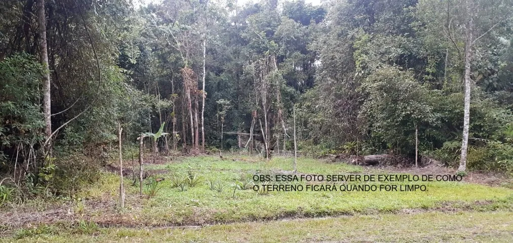 Terreno De 300m² No Clube De Campo Terras De Santa Barbara (por Favor Leia A Descrição)