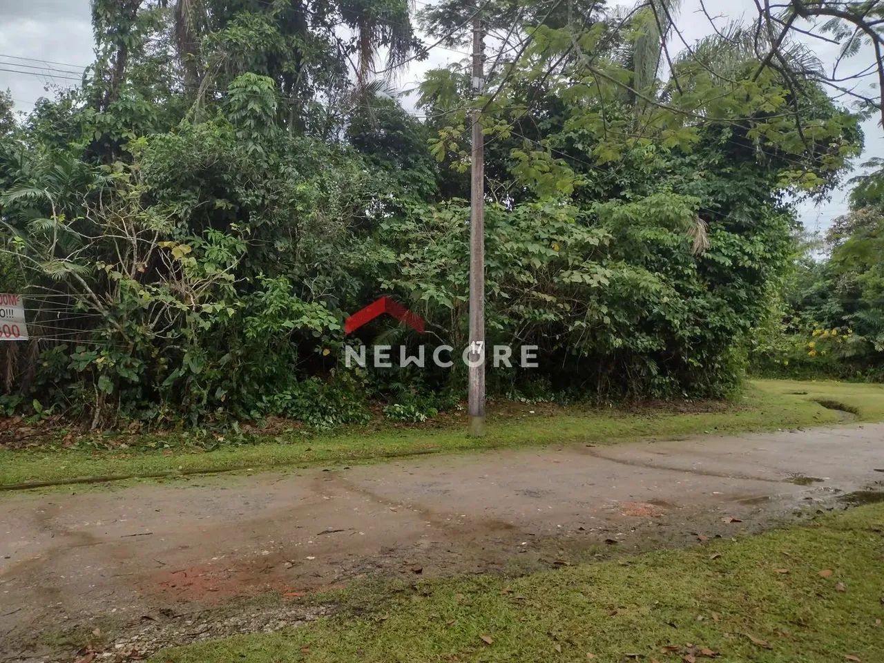 Lote em Condomínio São Luiz - São Luiz - Peruíbe/SP - Foto 5