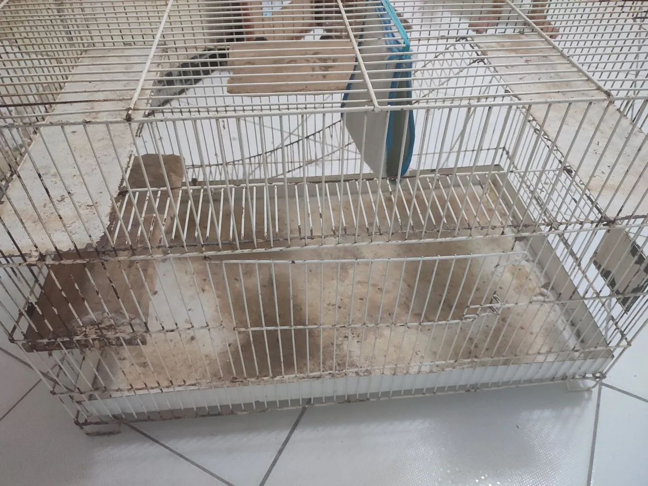 Gaiola para grandes roedores