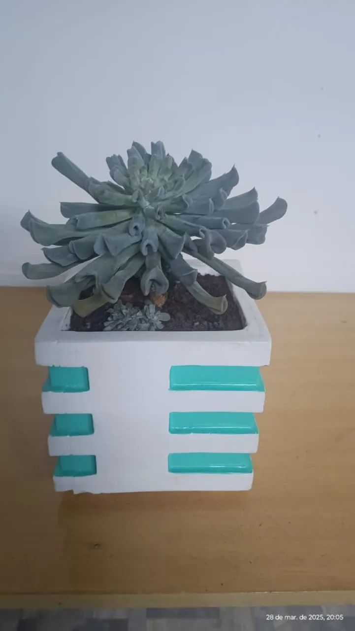 Vasos de planta decorativos em cerâmica - Foto 6