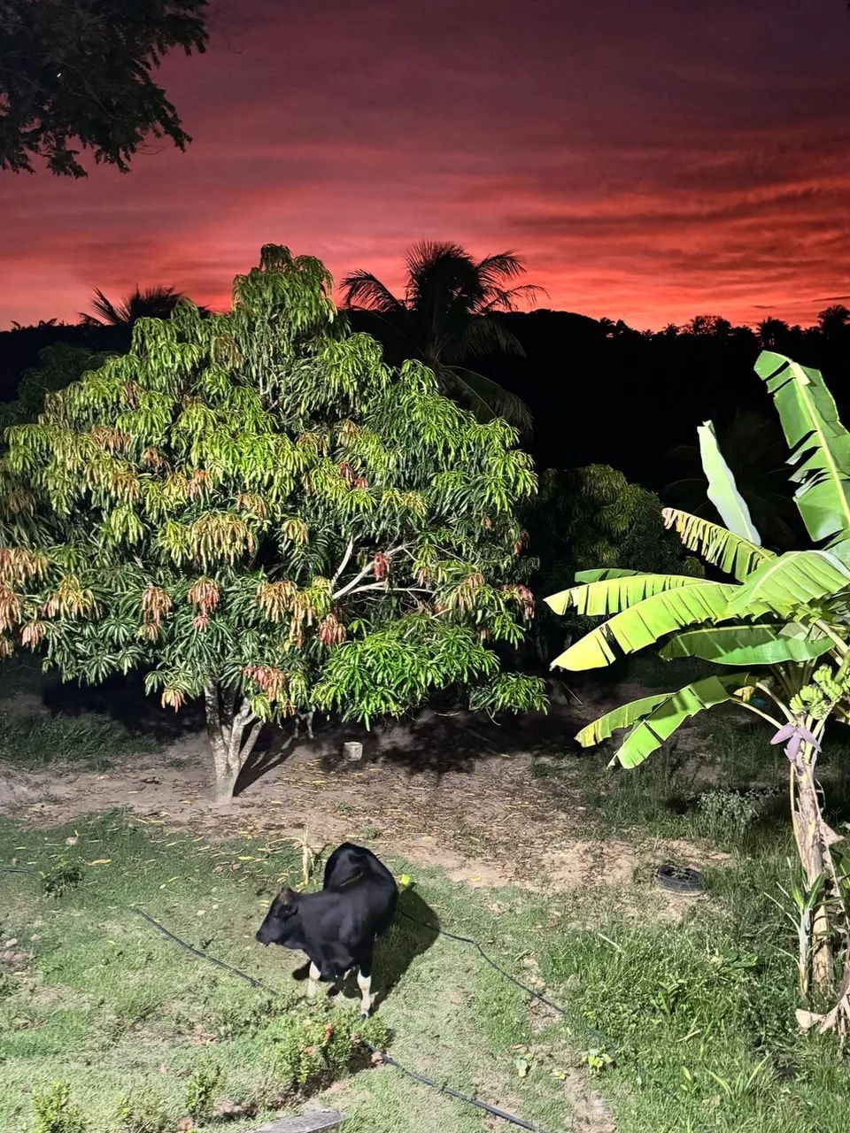 Casa Temporada  - Foto 8